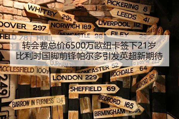 转会费总价6500万欧纽卡签下21岁比利时国脚前锋帕尔多引发英超新期待 | kaiyun